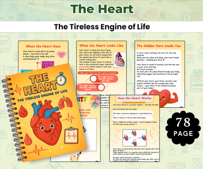 The Human Body Super Pack (14 Systems in One Bundle)