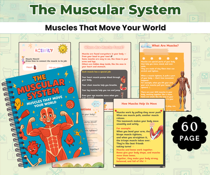 The Human Body Super Pack (14 Systems in One Bundle)