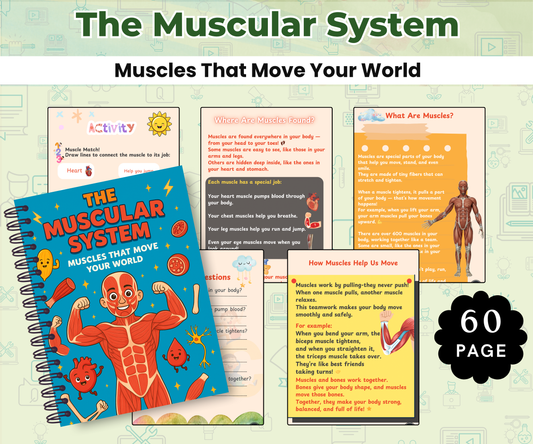 The Muscular System: Muscles That Move Your World