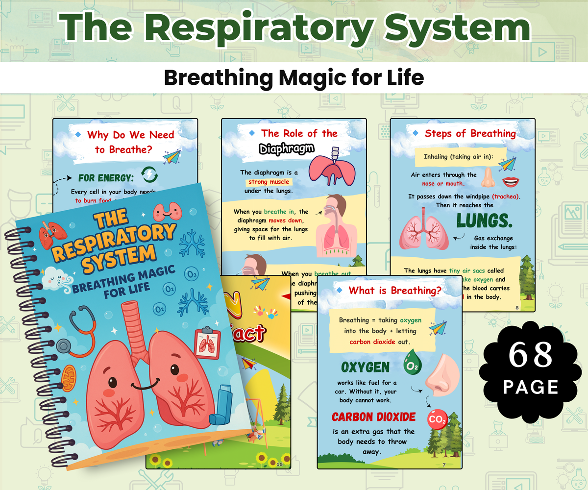 The Human Body Super Pack (14 Systems in One Bundle)