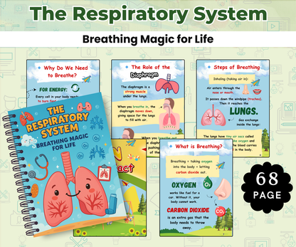 The Human Body Super Pack (14 Systems in One Bundle)