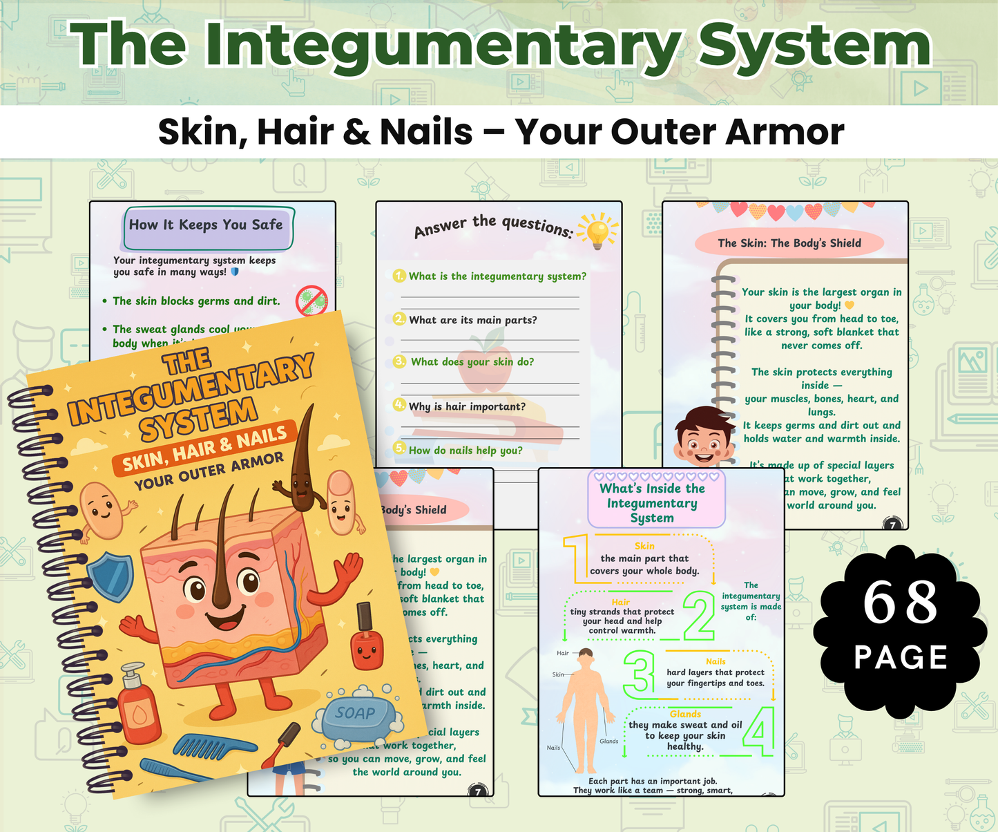 The Human Body Super Pack (14 Systems in One Bundle)