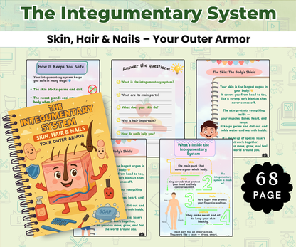 The Human Body Super Pack (14 Systems in One Bundle)