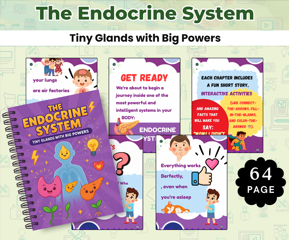 The Endocrine System: Tiny Glands with Big Powers