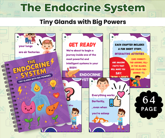 The Endocrine System: Tiny Glands with Big Powers