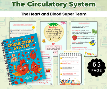 The Human Body Super Pack (14 Systems in One Bundle)