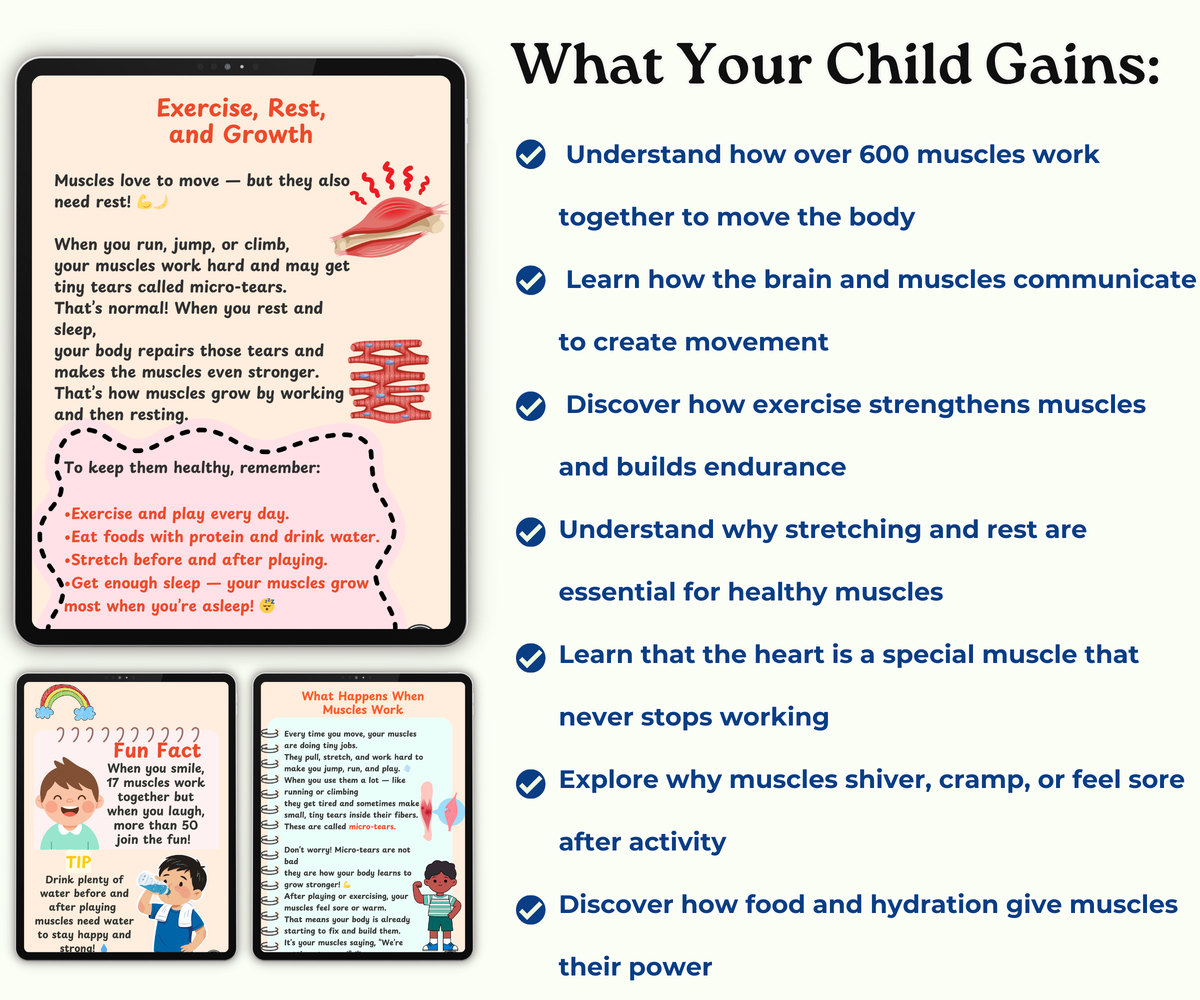 The Muscular System: Muscles That Move Your World