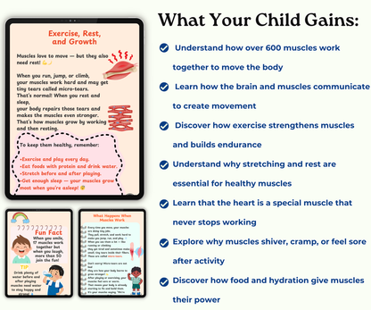 The Muscular System: Muscles That Move Your World