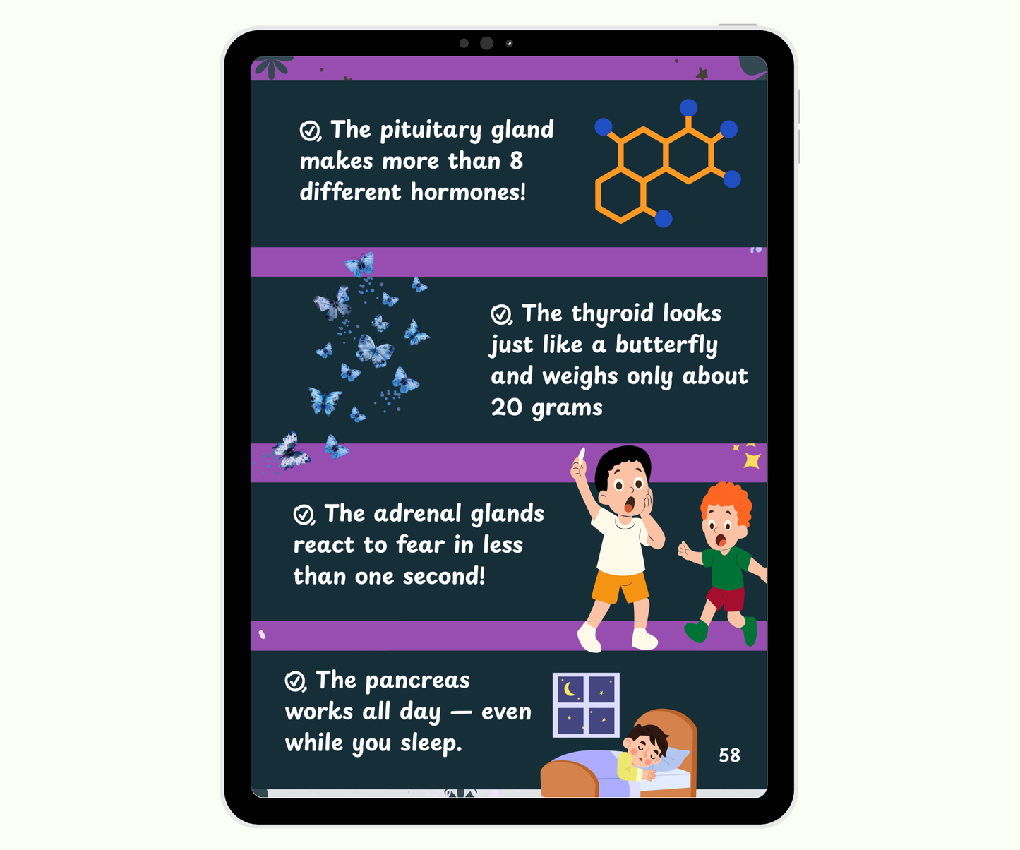 The Endocrine System: Tiny Glands with Big Powers