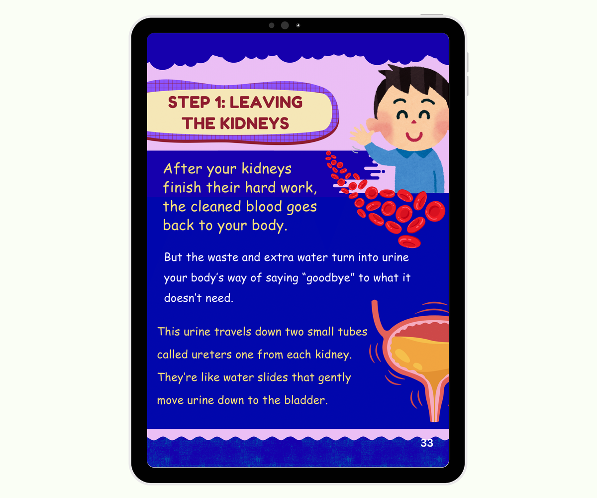 The Urinary System: The Body’s Cleaning Factory