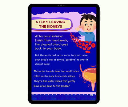 The Urinary System: The Body’s Cleaning Factory
